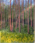 White Pines (8/13) [16 x 20, oil on canvas]