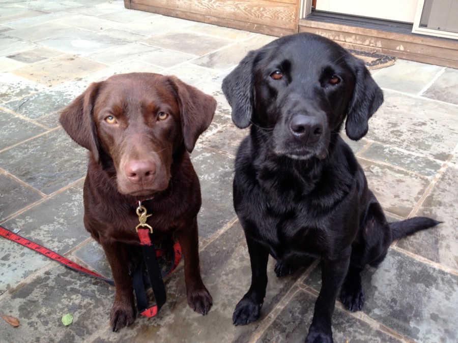 Patiently Awaiting the Reception